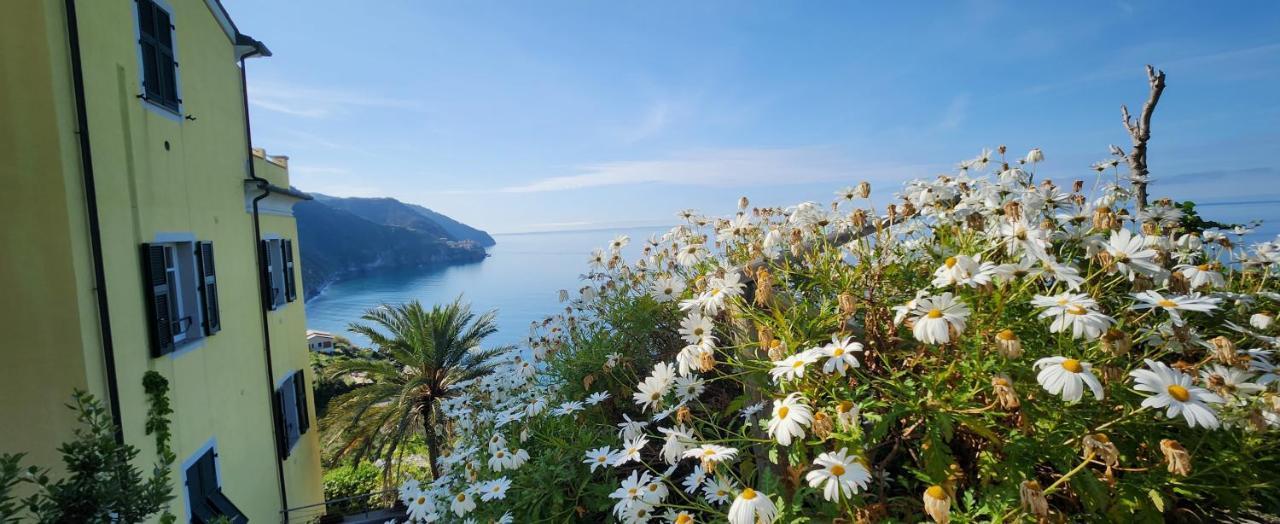 New Hanging Garden Corniglia