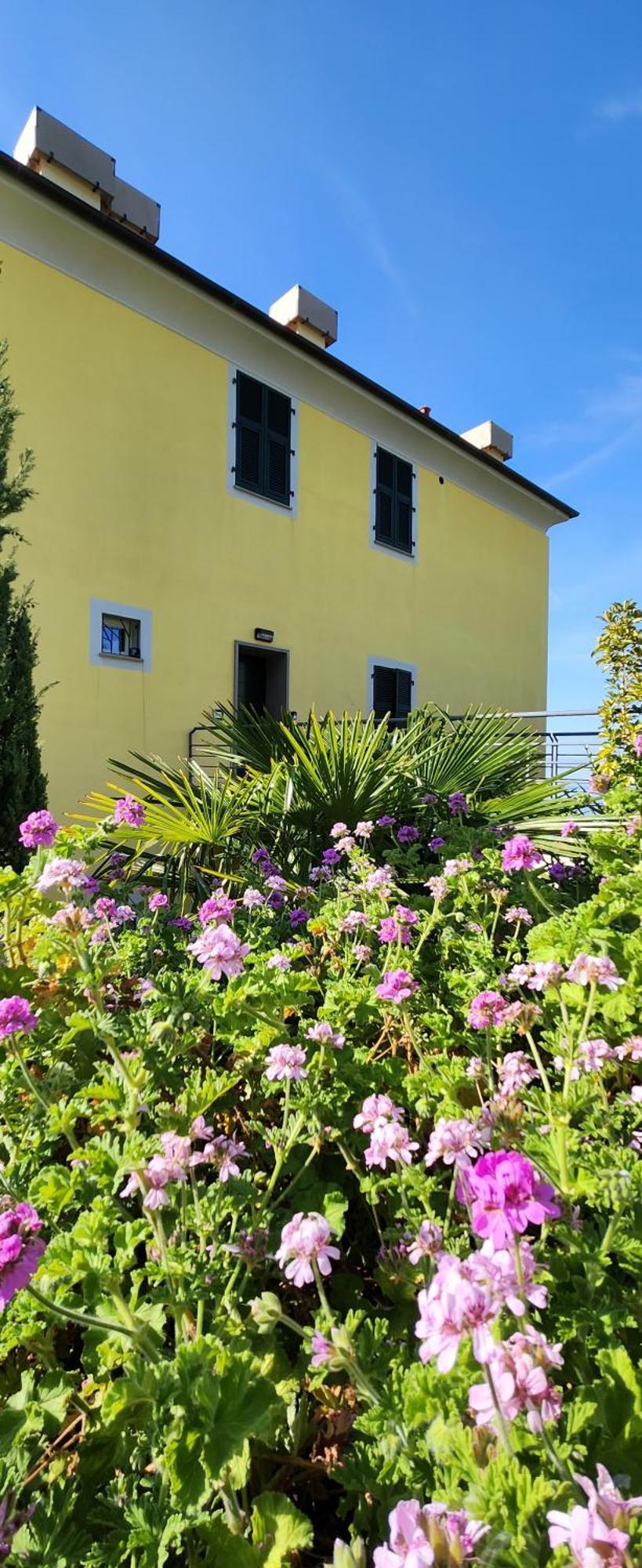 New Hanging Garden * Corniglia