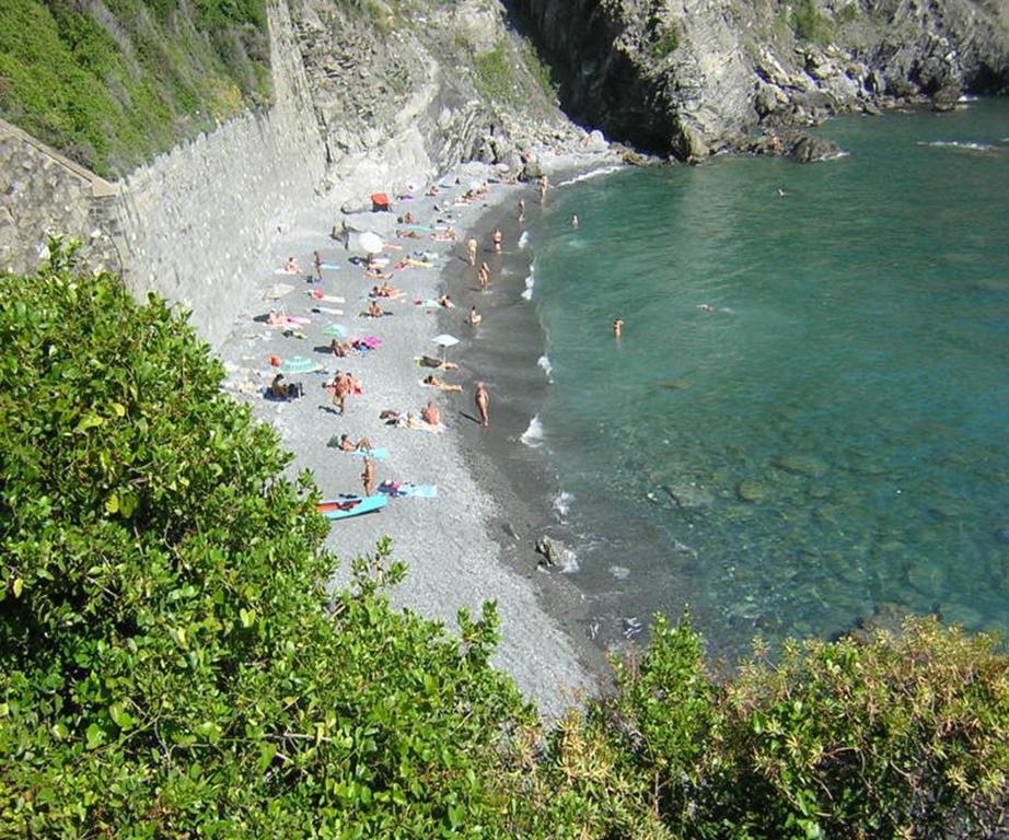New Hanging Garden Corniglia