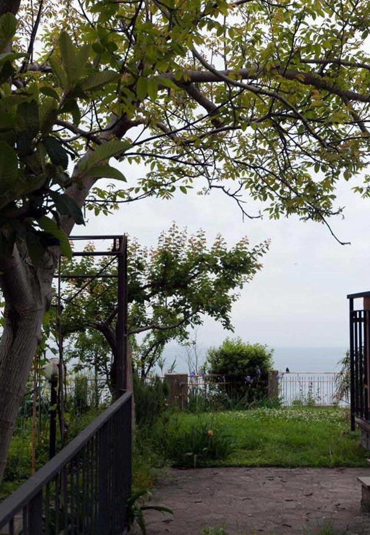 New Hanging Garden Apartment Corniglia