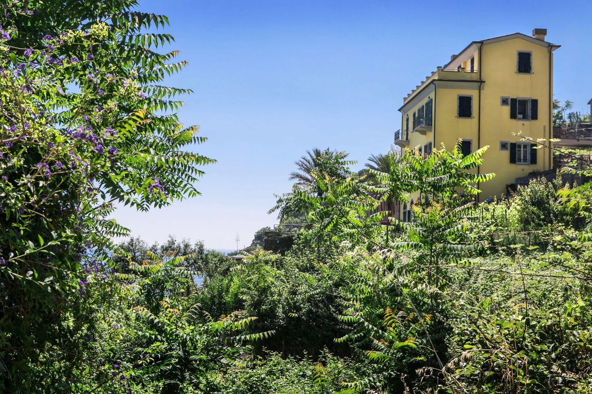 New Hanging Garden Corniglia